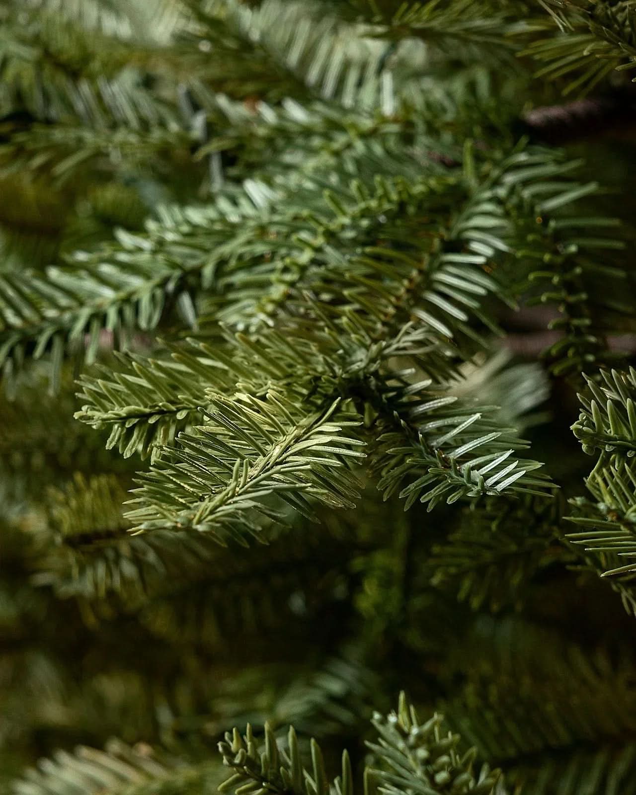 Árvore de Natal Verde Premium com Galhos Articulados, Suporte Metálico e Micro LEDs Embutidos